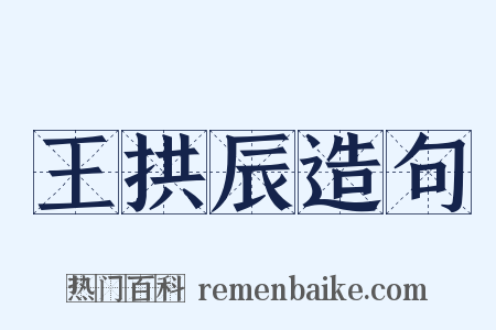 王拱辰造句是什么意思的图片